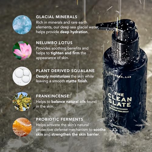 Caldera-Lab-The-Clean-Slate-Mens-Organic-Foaming-Facial-Cleanser-for-Dry-Sensitive-Normal-Skin--Vegan-Natural-Antioxidant-Packed-Exfoliating-Face-Wash-0-1